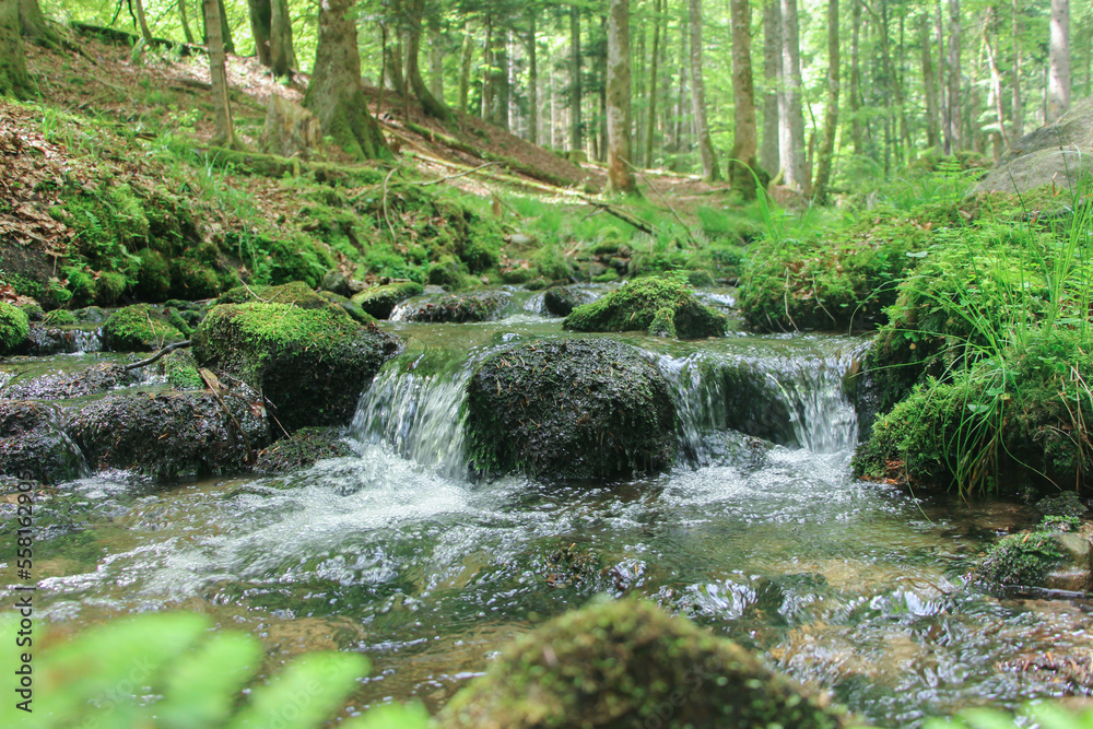rivière rivière