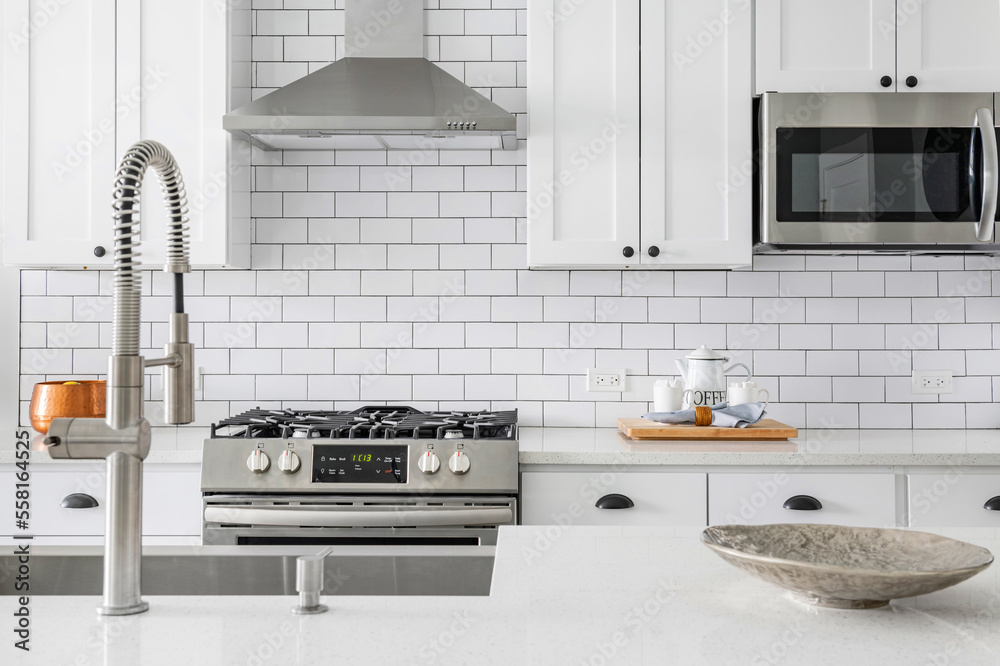 Close Up Modern White Kitchen with Stainless Steel Luxury Appliances
