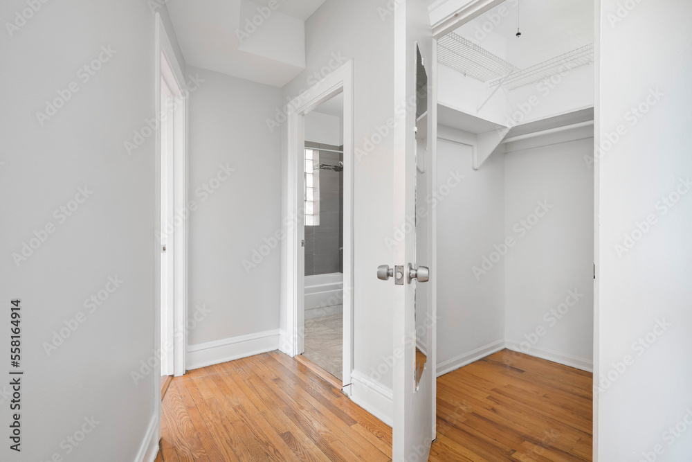 Modern Bedroom Walk In Closet. Empty primary closet with views into en