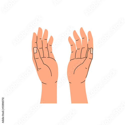 Two open hands with palms up. Top view, trendy flat vector illustration isolated on white background.