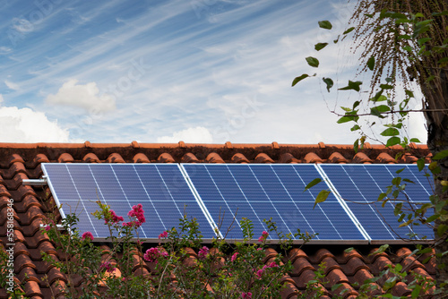 Photovoltaic Instalation Plant in a House With Leafs and Flowers Around at Sunset.