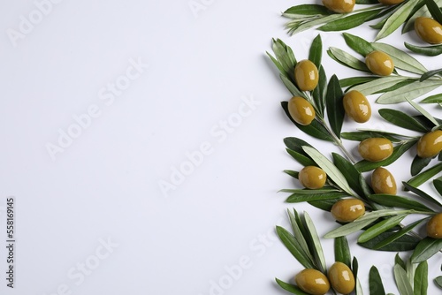 Twigs with olives and fresh green leaves on white background  flat lay. Space for text