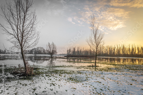 Wet and snowy landscape with bare trees. The photo was taken in a nature reserve in the Dutch province of North Brabant. © Ruud Morijn