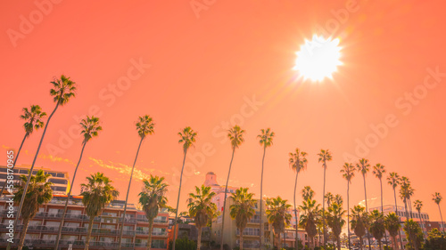 La Jolla  City Skyline  Tranquil sunset landscape with palm trees over the buildings in La Jolla  San Diego  Southern California  USA