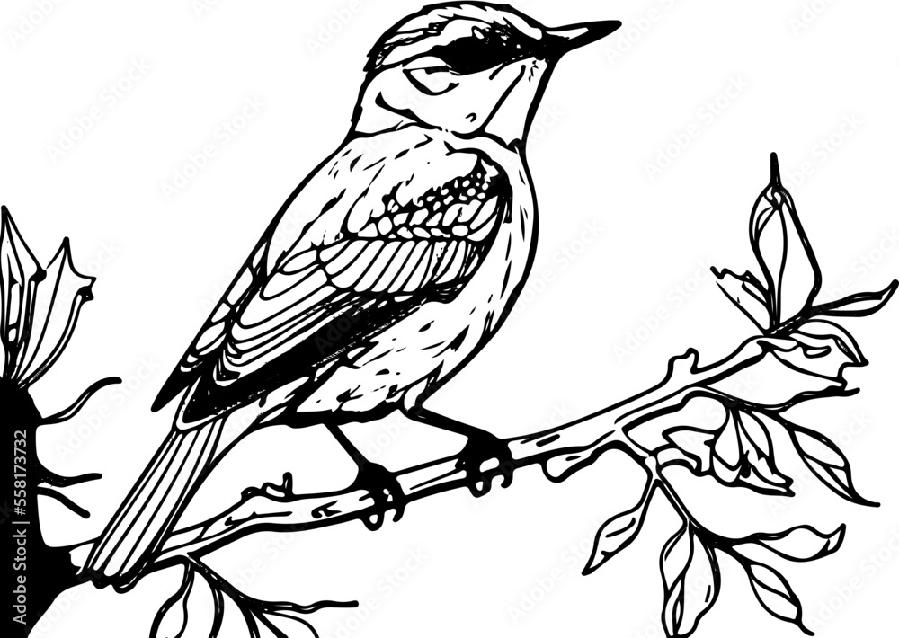 Fototapeta premium Coloring page for children with cute Animals