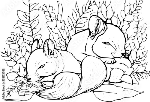 Fototapeta Naklejka Na Ścianę i Meble -  Coloring page for children with cute Animals