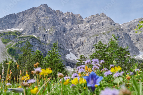 Kleiner Ahornboden in the Karwendel mountains (Alps) with the Laliderer Wände in spring, Hinterriß, Tirol, Austria, Europe © Christoph Stamm