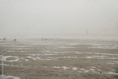 Sea beach in the morning mist