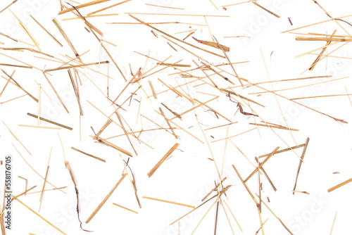 Dry yellow grass pile isolated on white background, top view