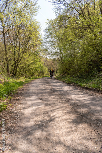 Wallpaper Mural A person walks in the park in fresh air. Torontodigital.ca