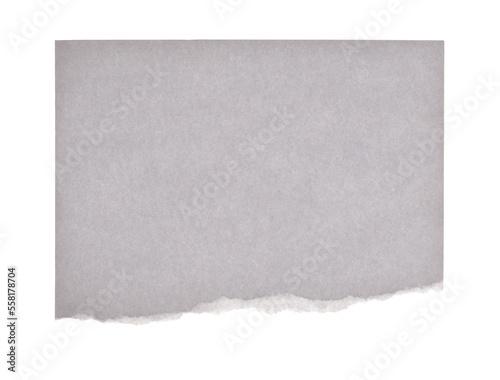 Torn empty pieces texture paper isolated on transparent png background.