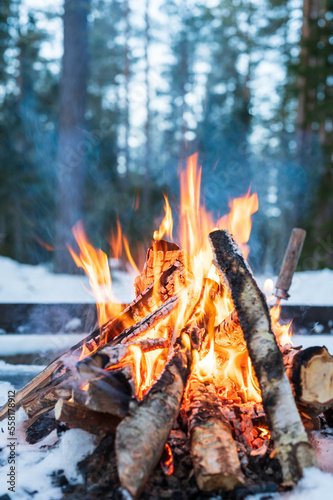 campfire in the forest in winter, Finland