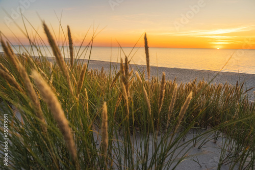 Sunset at sandy beach on Baltic sea. Sandy dune with grass on the sea coast at sunset