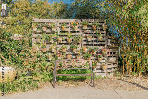 Outdoor garden  photo