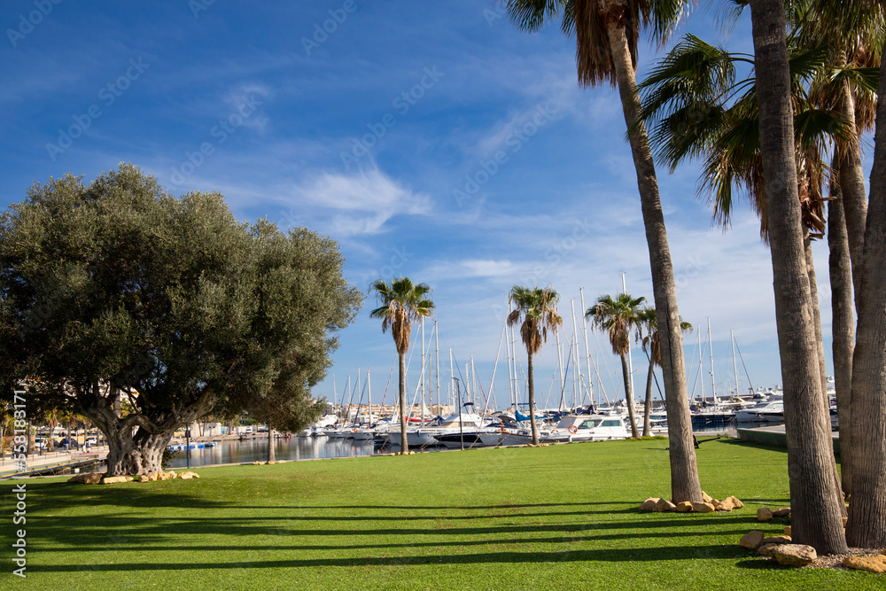 Mediterranean sea coast in the resort town overlooking the promenade and harbor with yachts, province of Alicante, Villa Hoyosa, Costa Blanca, Spain