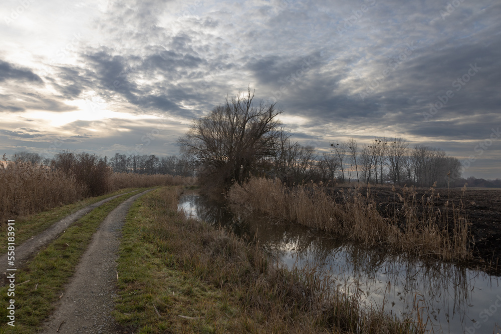 The landscape around the pond. Muddy dirt road and reeds. There are dramatic clouds in the sky. The landscape around the pond. Muddy dirt road and reeds. There are dramatic clouds in the sky.