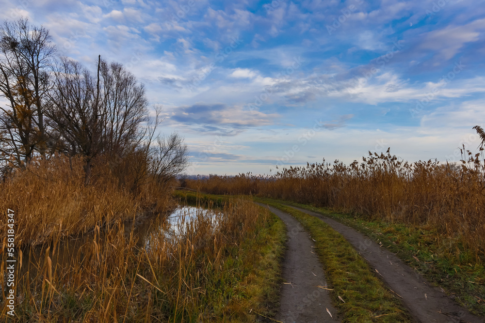 The landscape around the pond. Muddy dirt road and reeds. There are dramatic clouds in the sky. The landscape around the pond. Muddy dirt road and reeds. There are dramatic clouds in the sky.