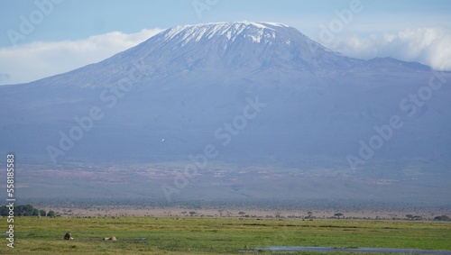 Kilimanjaro mountain with a lion couple under the mountain