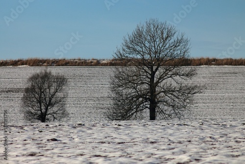 Wallpaper Mural Winter in Vorhol village, Ukraine Torontodigital.ca