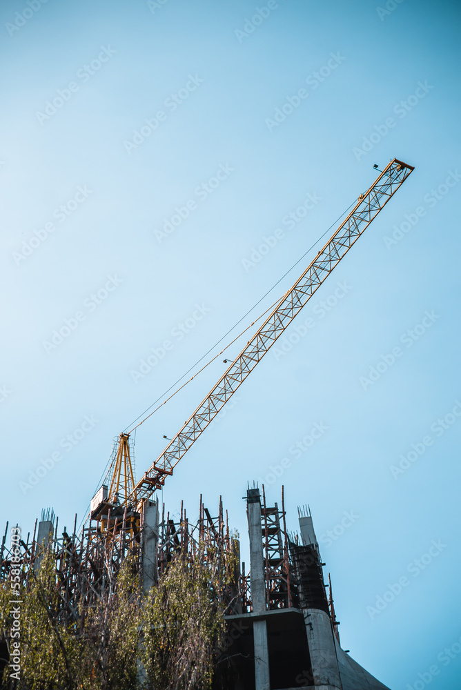 Crane builds a house against the background of green trees