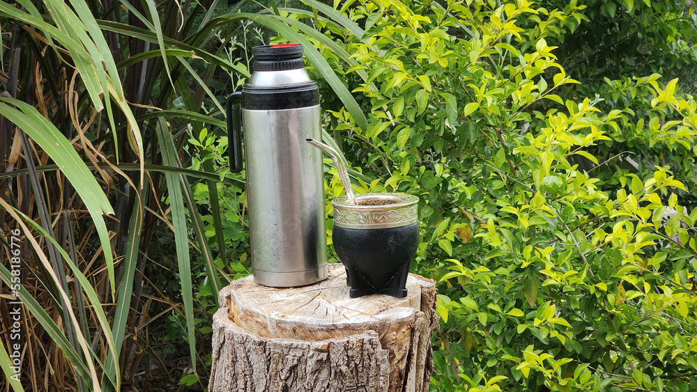 mate and thermos on trunk and green background of leaves in the field, argentina horizontal mate and thermos on trunk and green background of leaves in the field, argentina horizontal