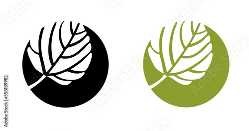 leaf vector icon. Logo made of natural leaf. Round logo. Silhouette of a plant