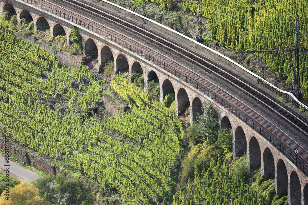 Obraz premium Viadukte und Weinberge an der Mosel