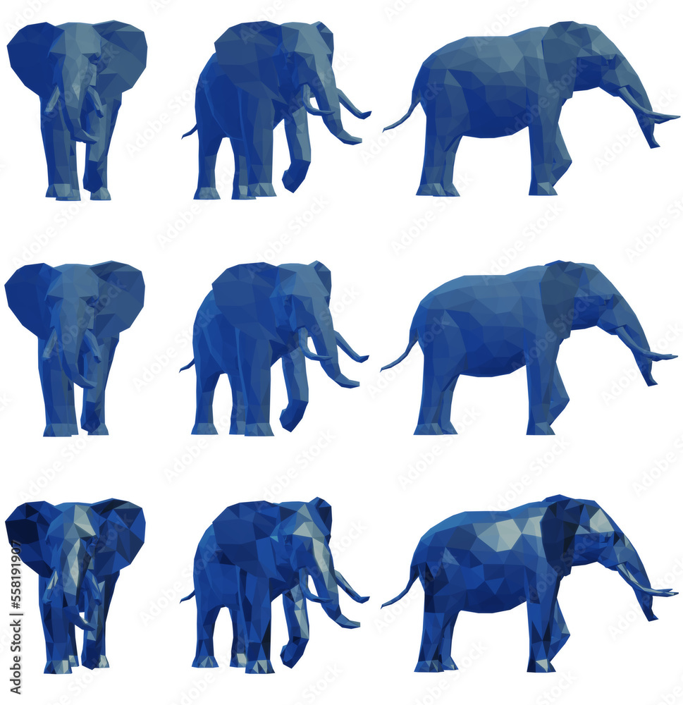 Obraz premium elephant