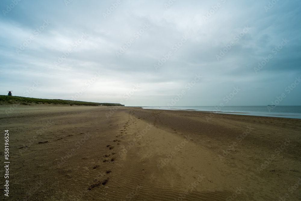 The beach near Cadzand, the Netherlands 