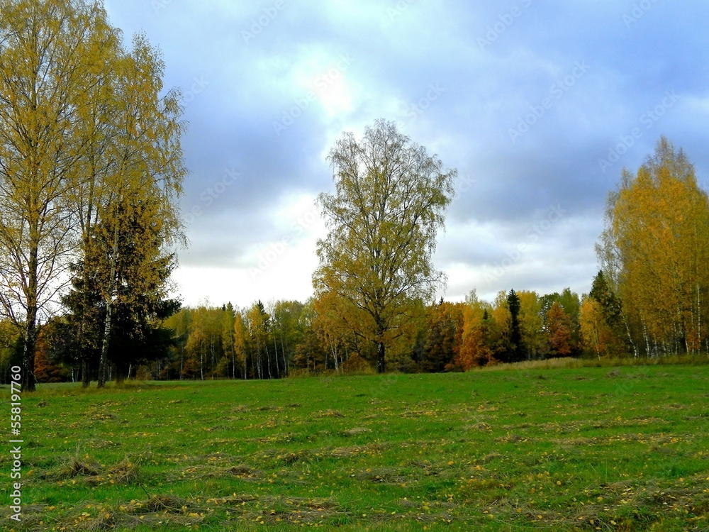 Beautiful autumn nature at the end of September. Trees and shrubs with colorful leaves. Unique image for decoration Beautiful autumn nature at the end of September. Trees and shrubs with colorful leaves. Unique image for decoration