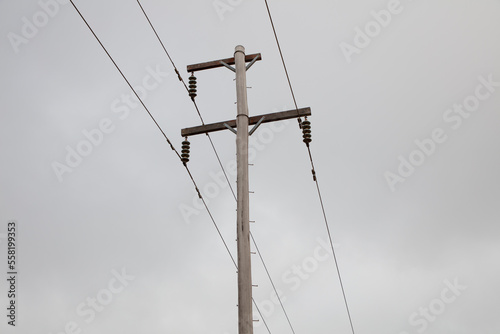 Photograph of a green wooden powerline pole with a multitude of transmission wires and connectors photo