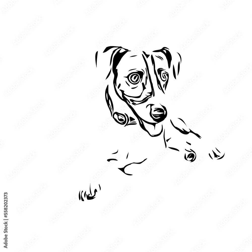 black and white drawing sketch of a dog with a transparent background for learning to color black and white drawing sketch of a dog with a transparent background for learning to color