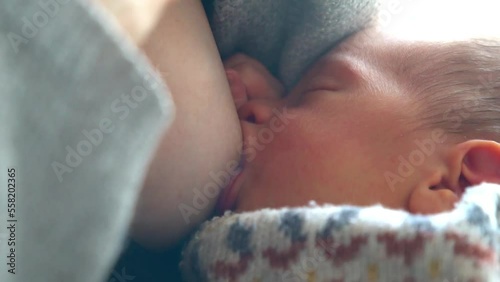 close-up of a newborn baby suckling. breastfeeding