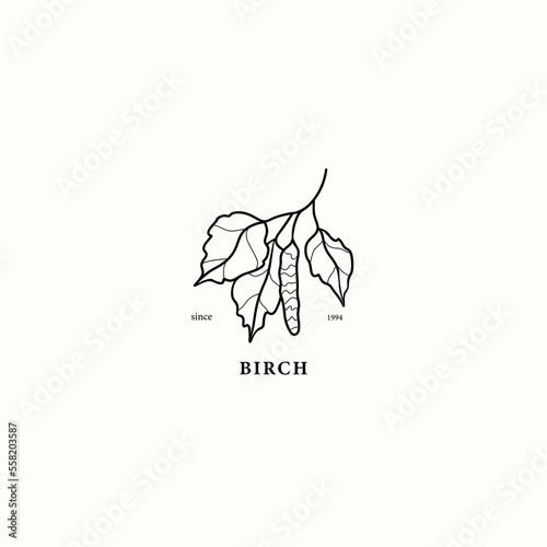 Line art birch branch illustration