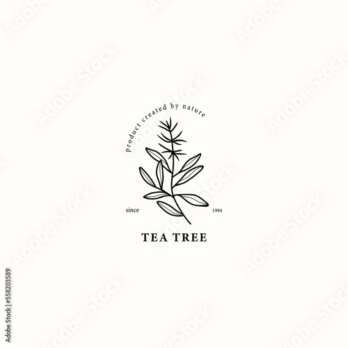 Line art tea tree illustration