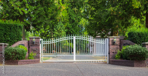 Fényképezés Double wrought-iron gate