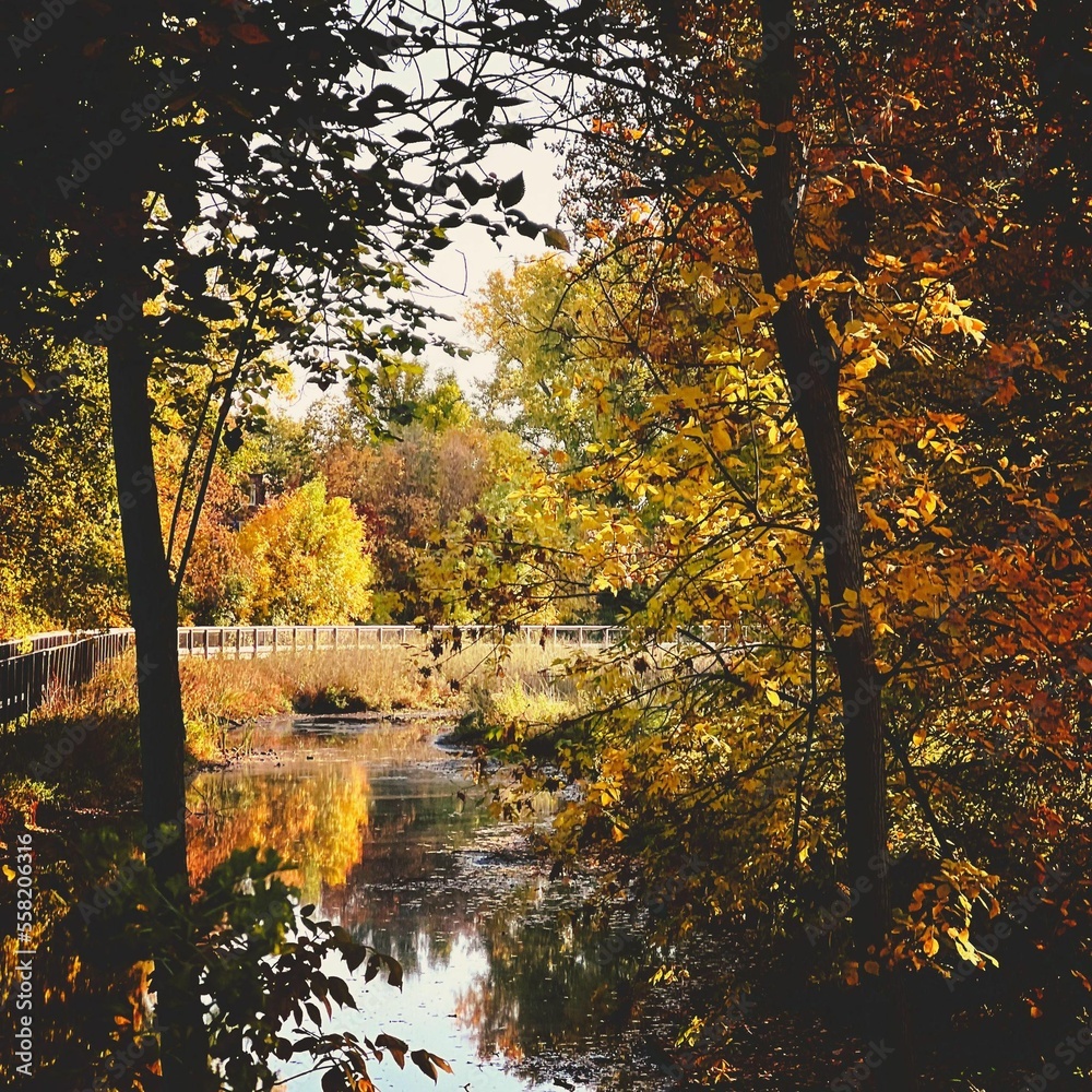Bridge during fall