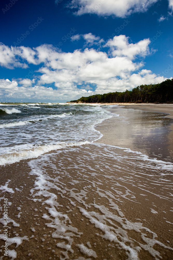 beautiful day and waves over the sea coast.