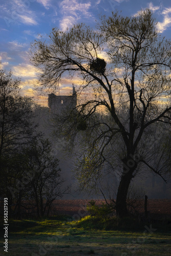 Obraz na płótnie Castle ruins in the forest w salonie