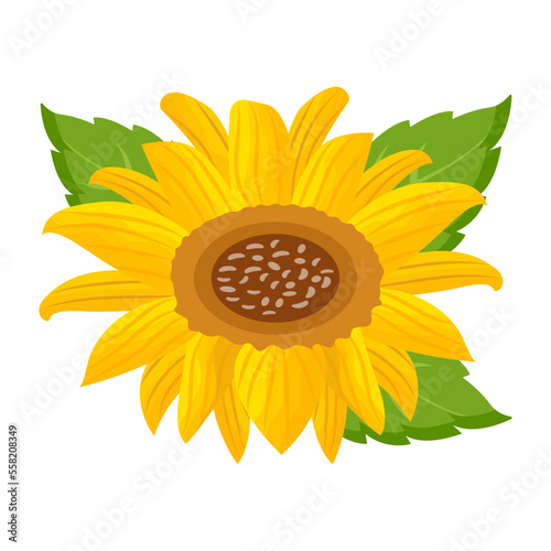 Yellow Flower 