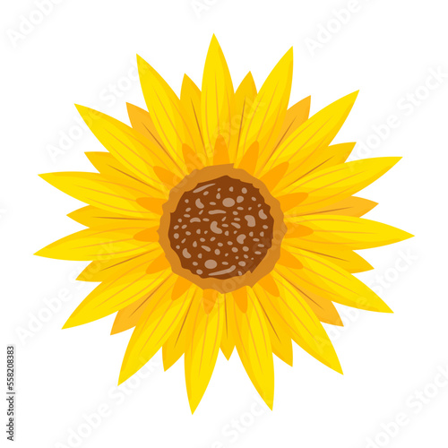 Yellow Flower 