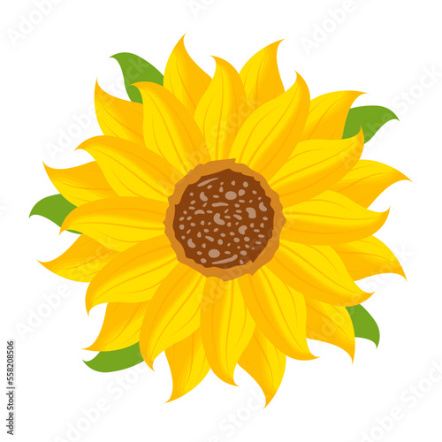 Blooming Flower 