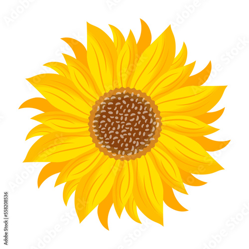 Yellow Flower 