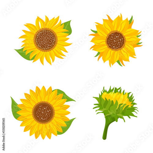 Set of Beautiful Flowers Flat Vectors 

