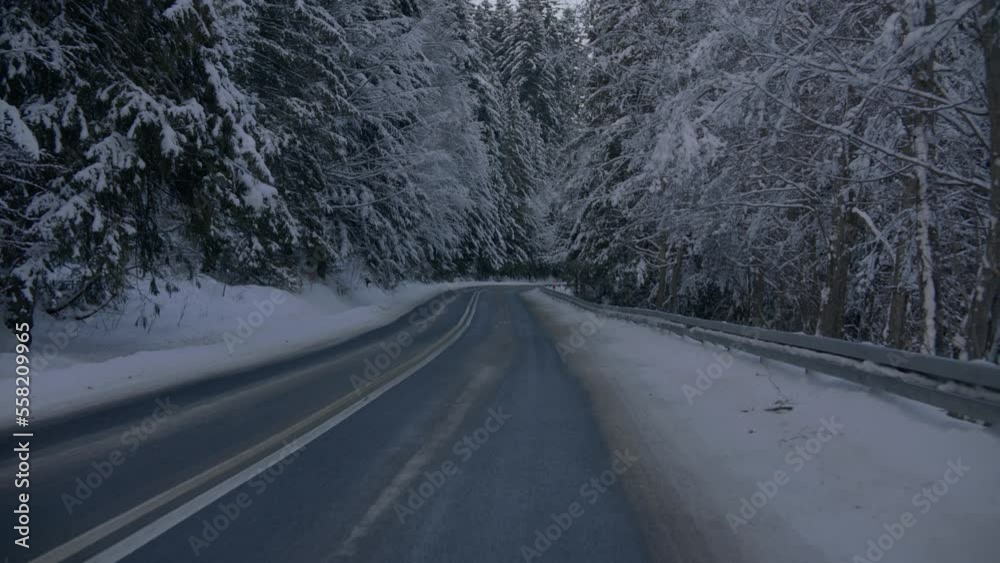 Front facing driving plate, car driving on an empty forest mountain road in winter, snow covered with trees, no other cars. Show with a chase car Front facing driving plate, car driving on an empty forest mountain road in winter, snow covered with trees, no other cars. Show with a chase car