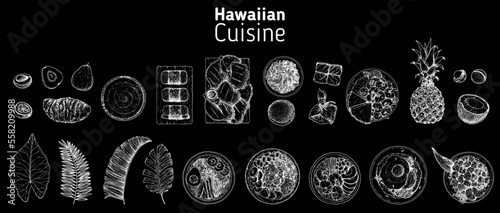 Hawaiian food top view vector illustration. Food menu design template. Hand drawn sketch collection. Hawaiian food menu set. Vintage style.