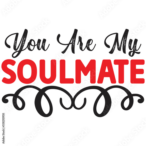 you are my soulmate