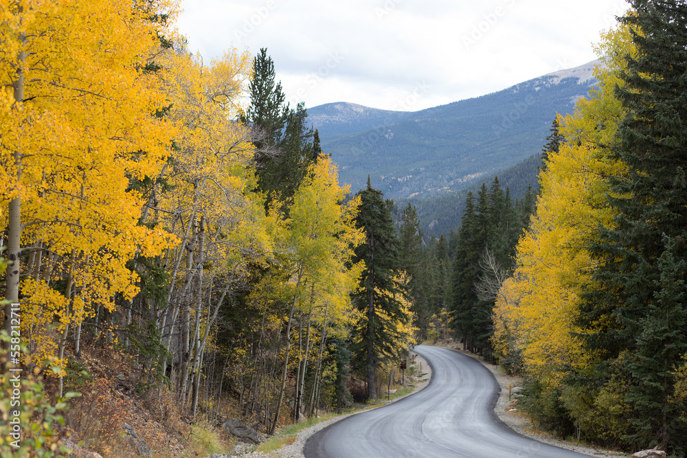 Winding road through fall colors.