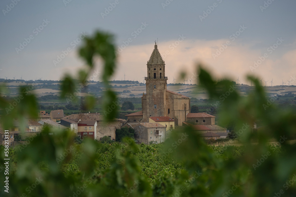 Church tower rises over wine vinyards, Bilar, Rioja Alavesa, Spain Church tower rises over wine vinyards, Bilar, Rioja Alavesa, Spain