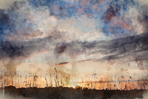 Digital watercolour image o...